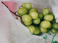 -陇南批发市场