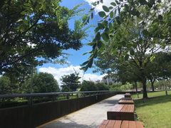 -栖露营camping·天幕烧烤·团建拓展·采摘营地