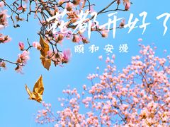 -北京颐和宾馆