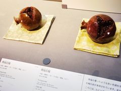 -东京国立博物馆