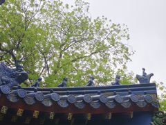 -灵谷景区
