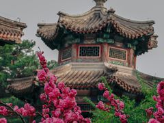 -颐和园