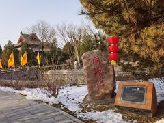 -大槐树寻根祭祖园