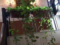 -老洋房花园饭店(绍兴路店)