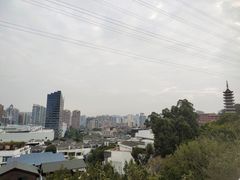 -仙岳公园