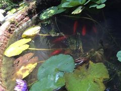 -亦缘居私家别院