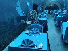 -海棠湾洲际-涛·海底餐厅·美人鱼·自助餐·海底隧道
