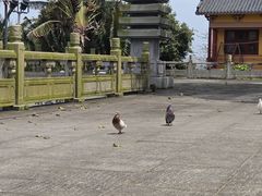 -博鳌禅寺