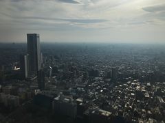 -东京都厅舍
