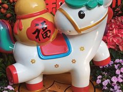 -越秀西湖花市(广州城市广场花卉店)