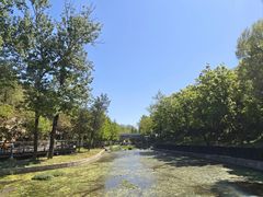 -白水寺森林公园