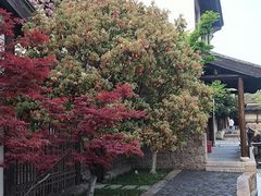 -石湖景区