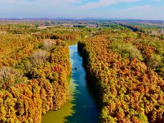 -上海海湾国家森林公园