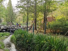 -白水寺森林公园