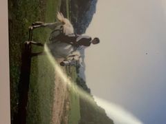 -关山牧场王师烤全羊