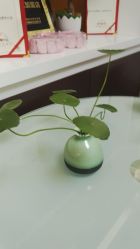 -国颐堂养发SPA馆