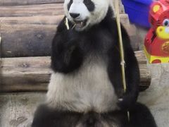 -海南热带野生动植物园