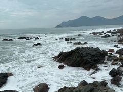 -西涌国际滨海旅游区