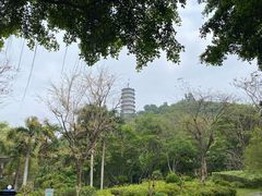 -深圳国际园林花卉博览园