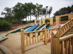 -大兴滨河森林公园