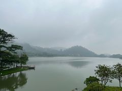 -顺峰山公园