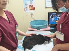 -纳吉亚猫专科动物医院博雅分院