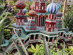 -南宫五洲植物乐园