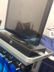 -维多利亚医疗美容医院