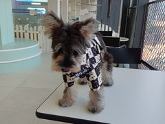 -怪兽屋·羊驼·猫咖·狗咖(俊华广场店)