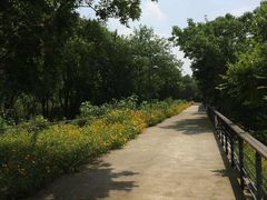 -西湖风景区-江洋畈生态公园