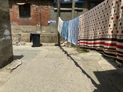 -徐建萍汤包(热河南路店)