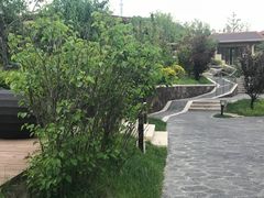 -大连金石滩绿发温泉假日酒店