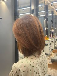 -藤野造型