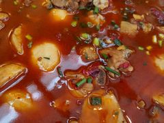 南山泉水鸡-丫口花园餐厅·融合菜