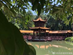 -铁山坪森林公园