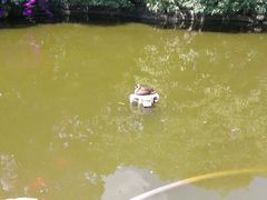 -昆明动物园