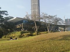 -深圳湾公园(南山区)