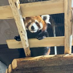 -Zoolung Zoolung动物主题公园(海信广场店)