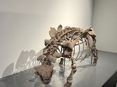 -大连自然博物馆