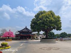 -广东圆玄道观