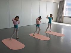 -舞蕾舞蹈(特长生校区)