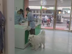 -汪喵宠物医院·骨科心脏影像·犬猫急重症ICU诊疗中心(成华分院)