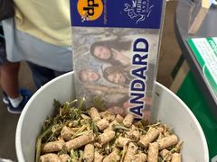 -费瑟代尔野生动物园