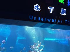 -泉城欧乐堡海洋极地世界