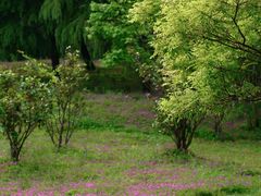 -蜀冈西峰生态公园