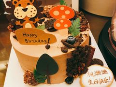 蘑菇村的狮子-半勺舒舒生日蛋糕店