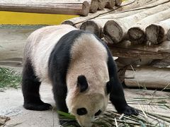-杭州野生动物世界
