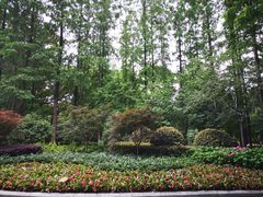 -徐家汇源景区-衡山公园