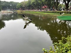 -广州长隆飞鸟乐园