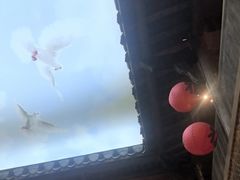 -徽三说·土徽菜·中国徽菜连锁品牌(一中店)